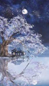 知乎梯子推荐国内外付费梯子软件推荐稳定的收费梯子苹果iphone手机安卓手机梯子SS推荐-顶级机场