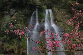 知乎推荐iphone苹果ios手机速度最快的翻墙VPN梯子app-顶级机场